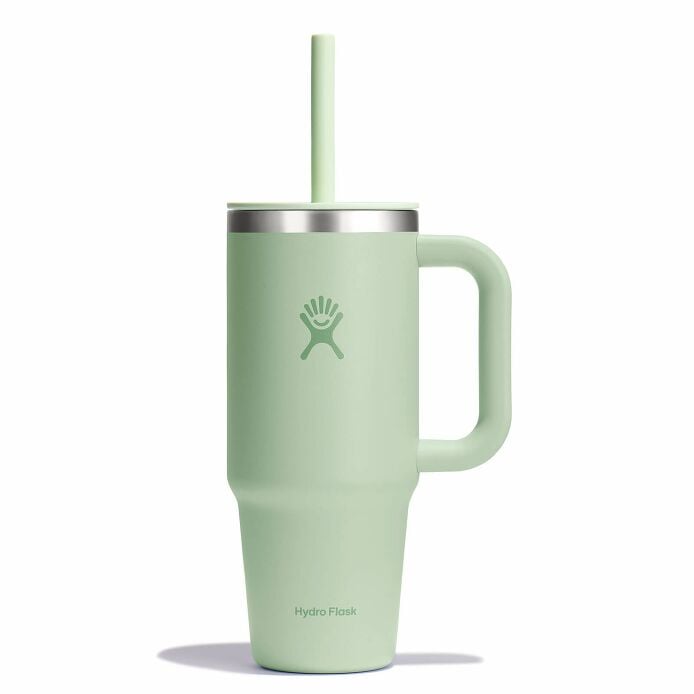 24 oz Travel Tumbler - Aloe