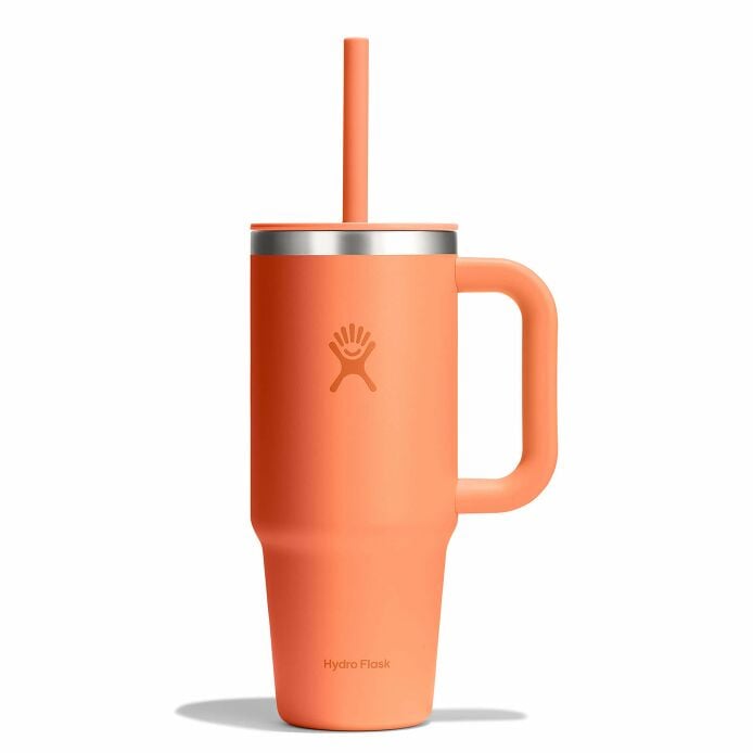 24 oz Travel Tumbler - Nectar Orange